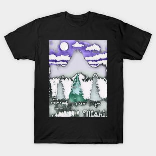 Valley in the Night T-Shirt